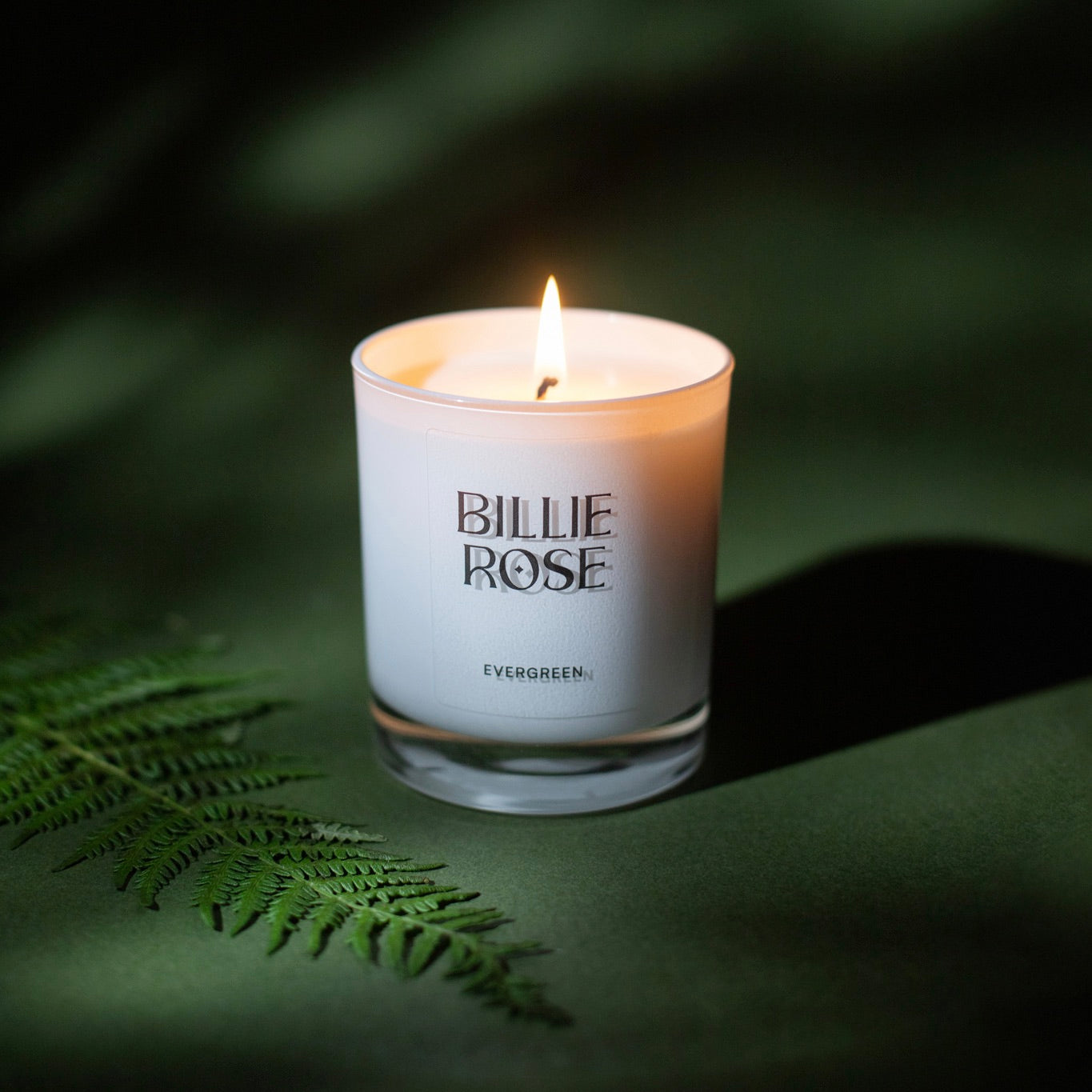 lit Evergreen candle in white jar on green background with leaf and shadows