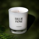 Evergreen candle unlit on green background with shadows